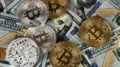 crypto30x com financial success